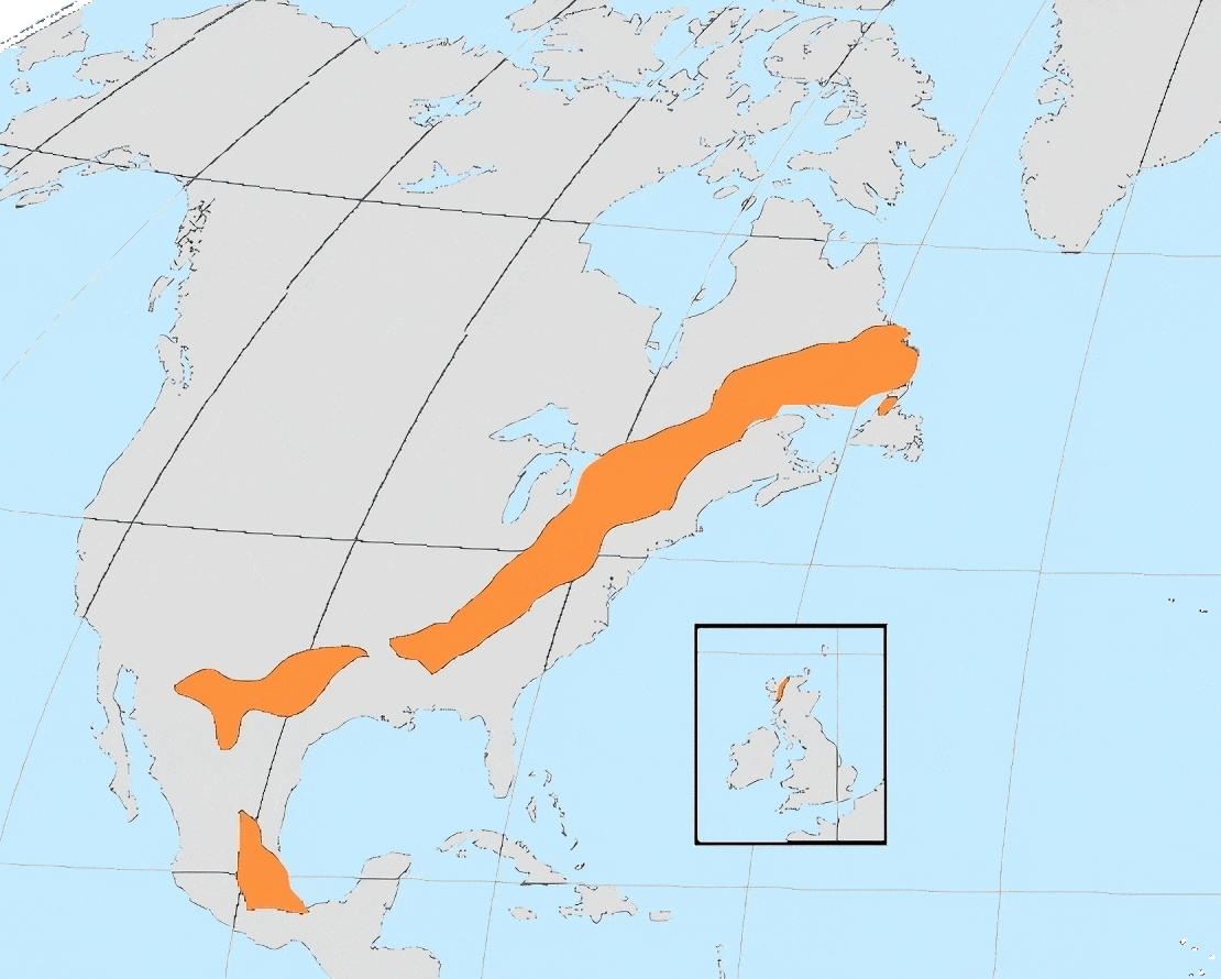 Grenville orogeny - Wikipedia