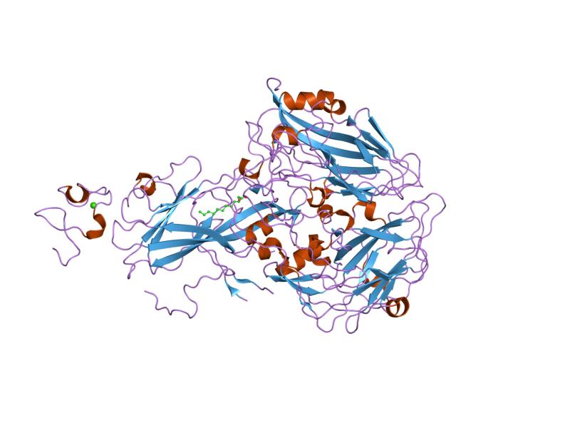 VLDL receptor - Wikipedia