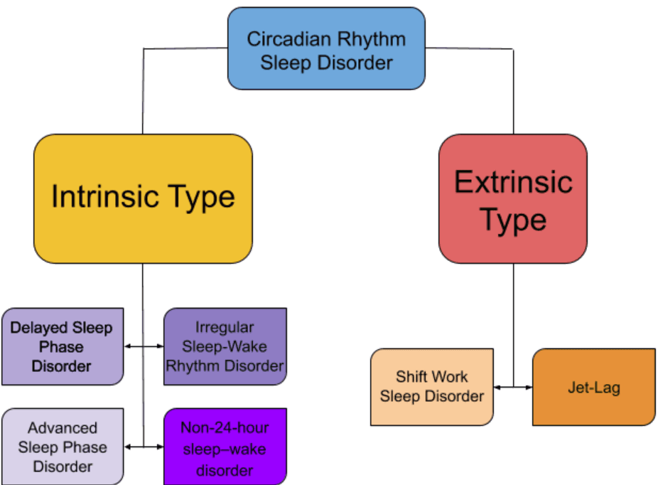 Circadian rhythm sleep disorder - Wikipedia