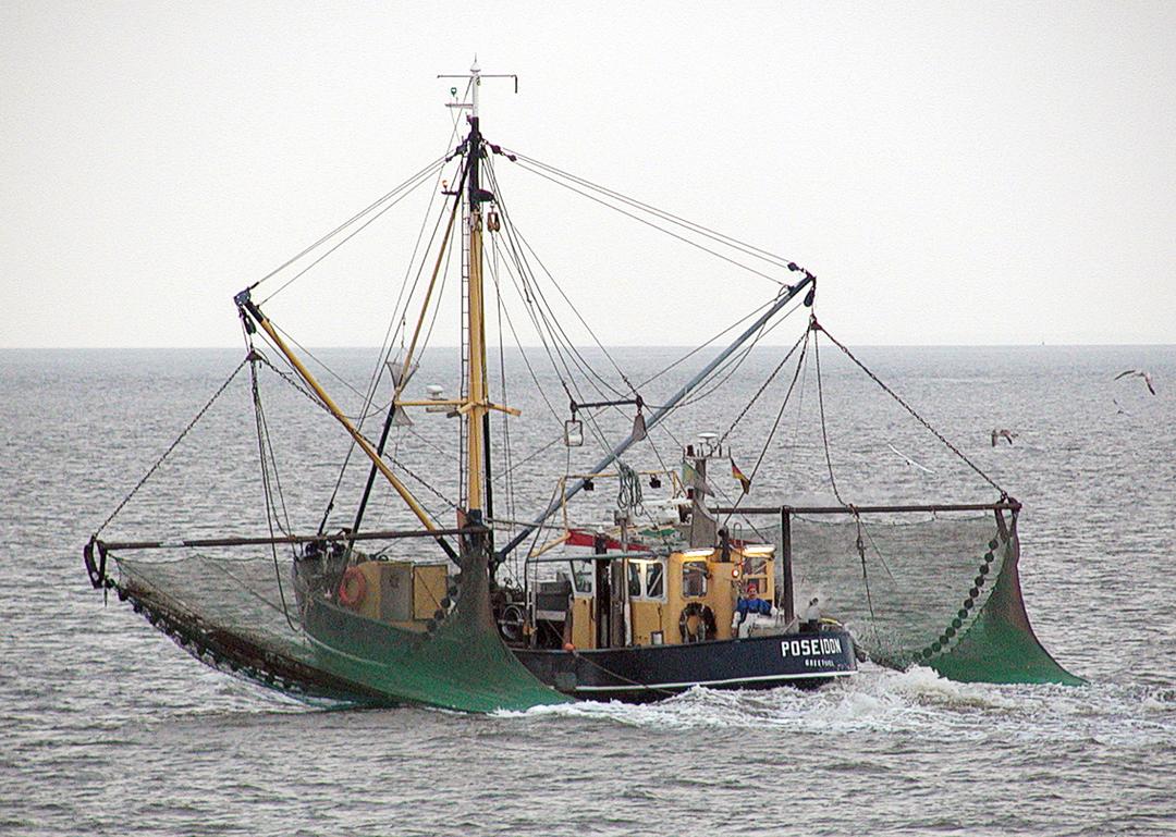 Commercial fishing - Wikipedia