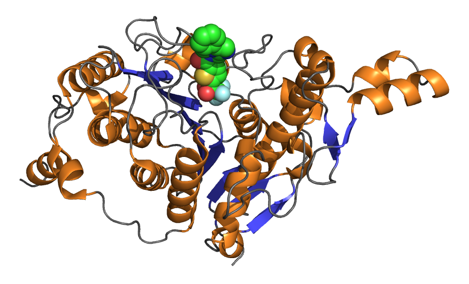 Histone deacetylase - Wikipedia