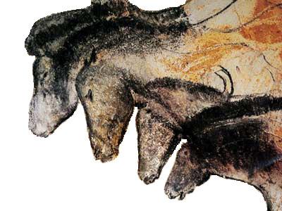 Grotte Chauvet — Wikipédia