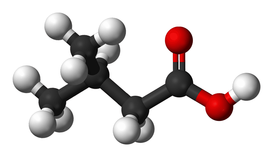 Isovaleric acid - Wikipedia