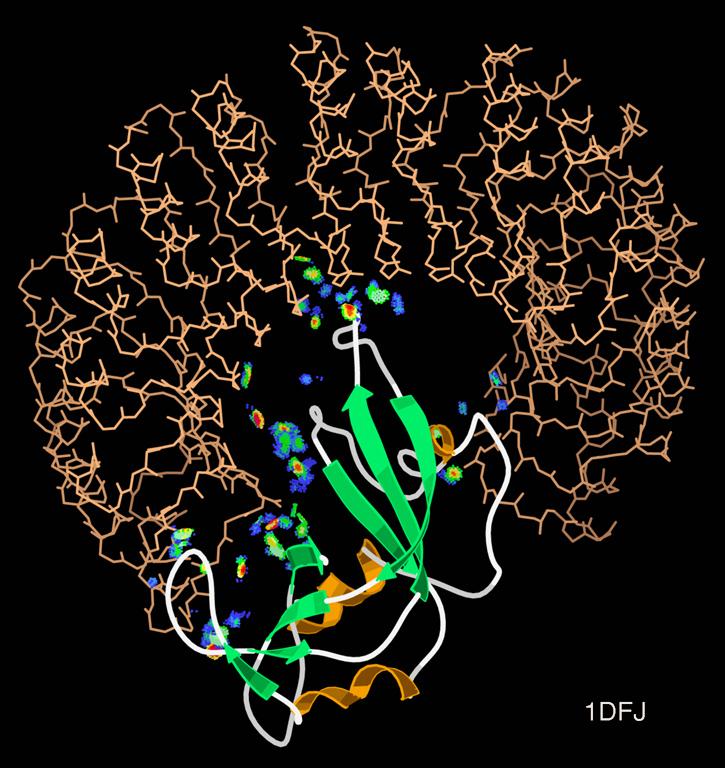 Protein–protein interaction - Wikipedia