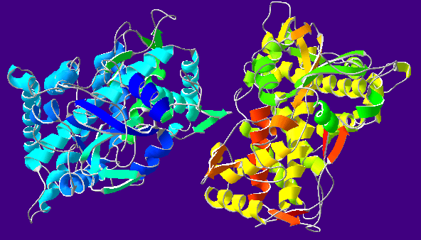 Détoxication — Wikipédia