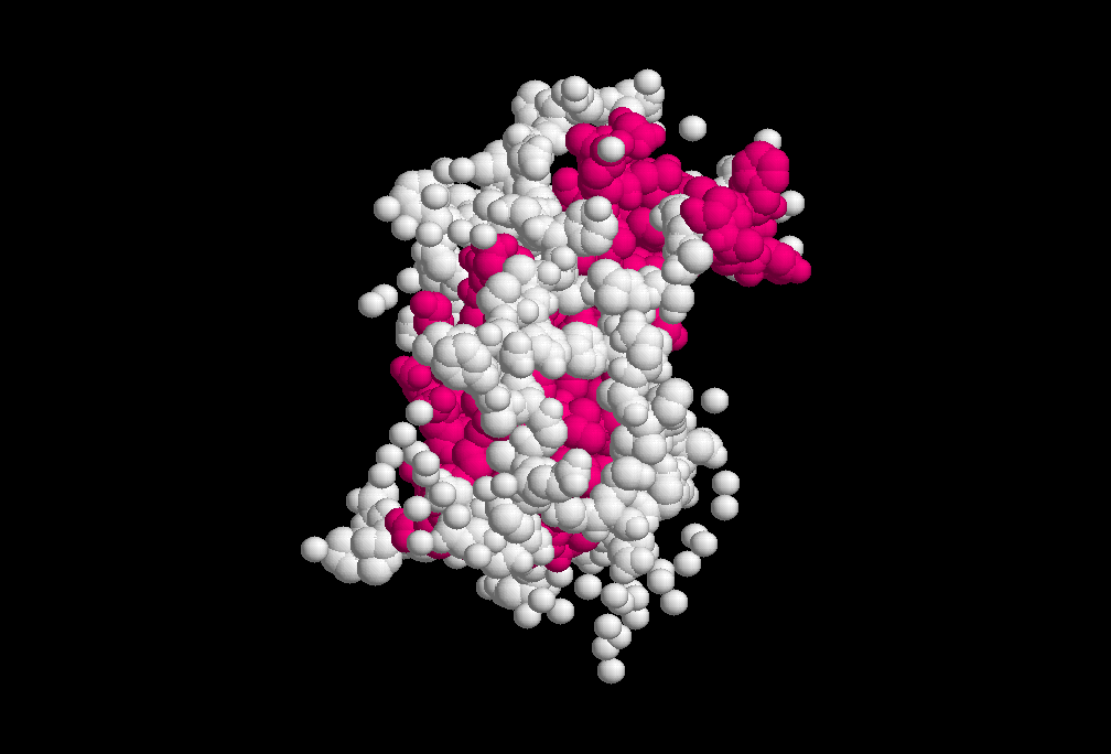 Growth hormone - Wikipedia