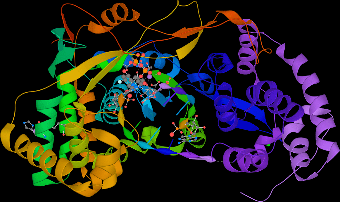 RNA-dependent RNA polymerase - Wikipedia