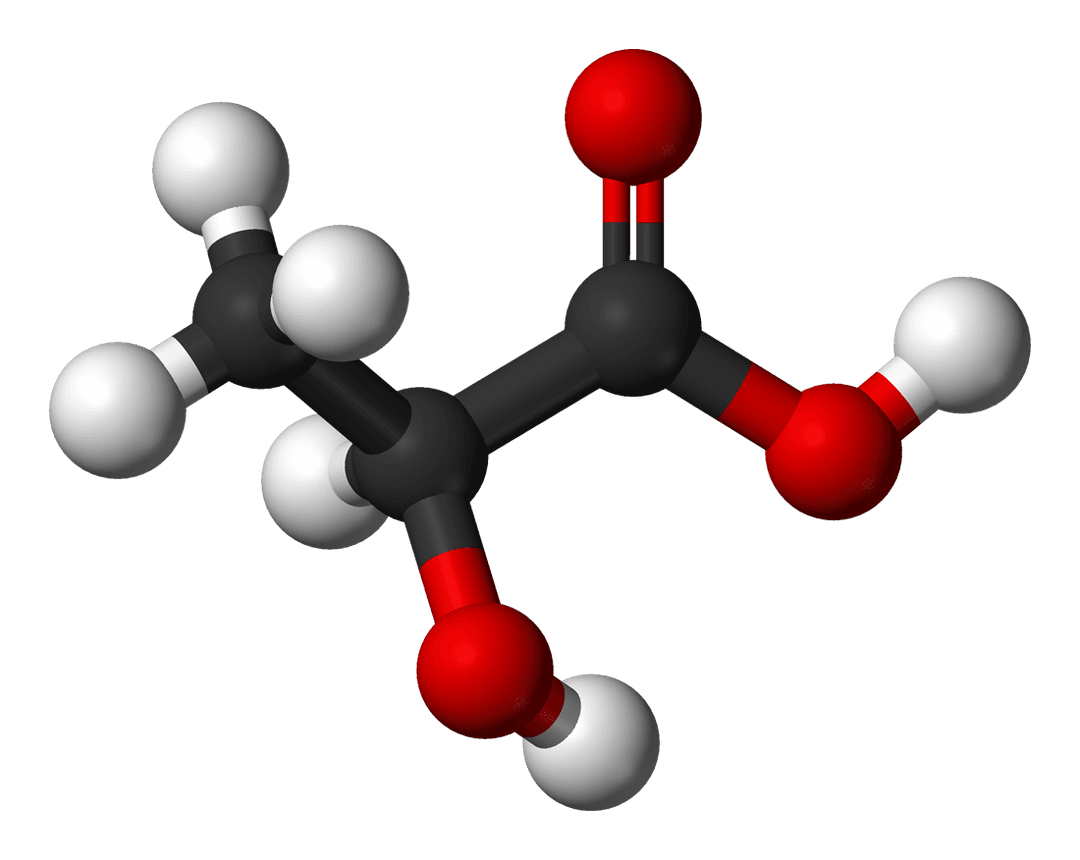 Acide lactique — Wikipédia