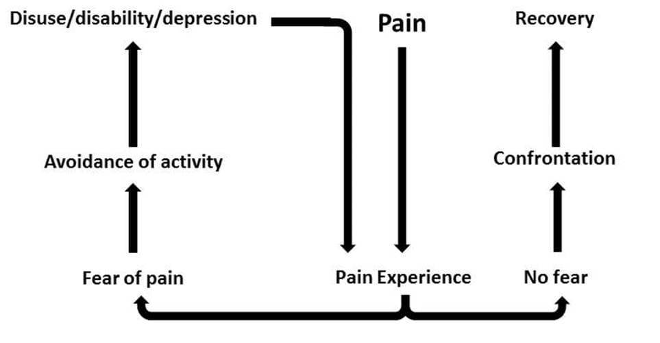 Fear-avoidance model - Wikipedia