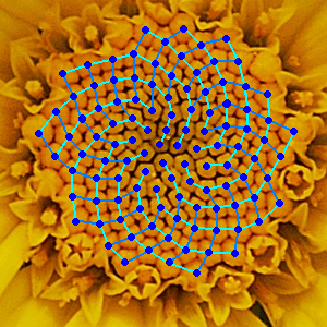 Mathematical and theoretical biology - Wikipedia