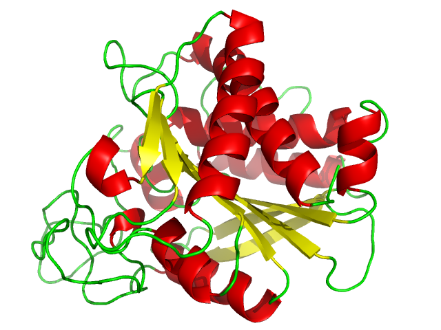 Carboxypeptidase - Wikipedia