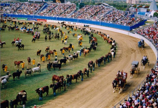 Agricultural show - Wikipedia