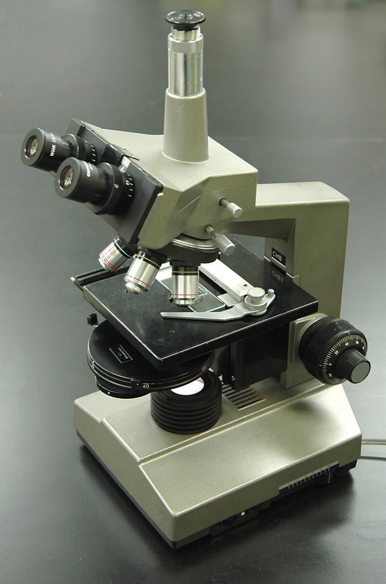 Phase-contrast microscopy - Wikipedia