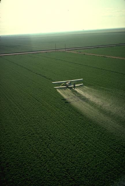 Pesticide - Wikipedia