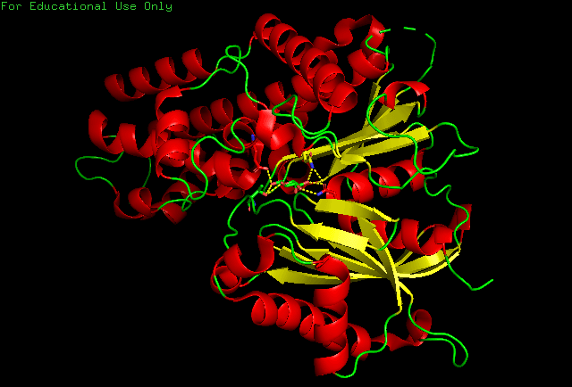 Binding site - Wikipedia