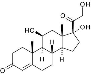 Cortisol — Wikipédia