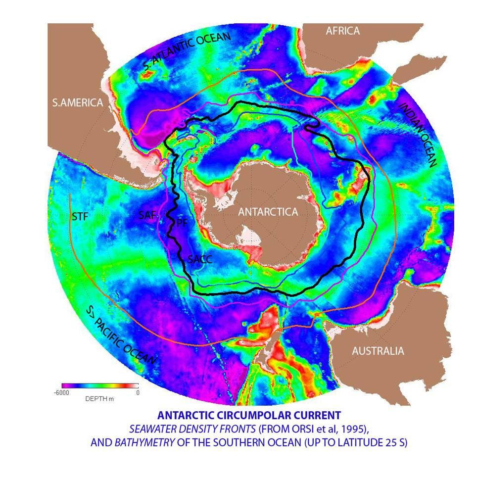 Courant circumpolaire antarctique — Wikipédia