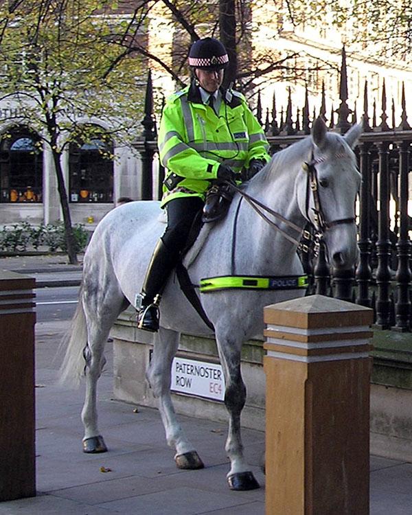 Police de la Cité de Londres — Wikipédia