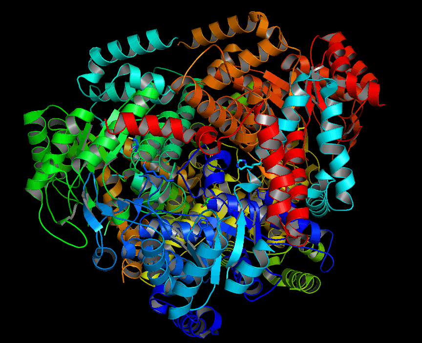 Isocitrate lyase - Wikipedia