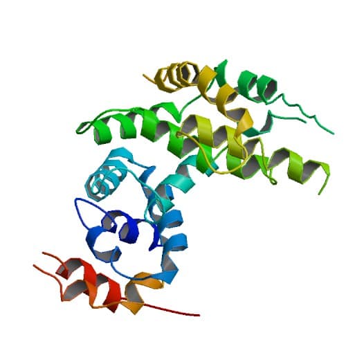 Neurofibromine 1 — Wikipédia