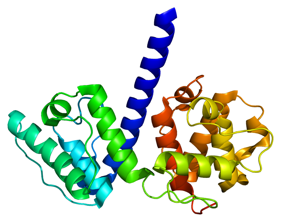 Plectin - Wikipedia