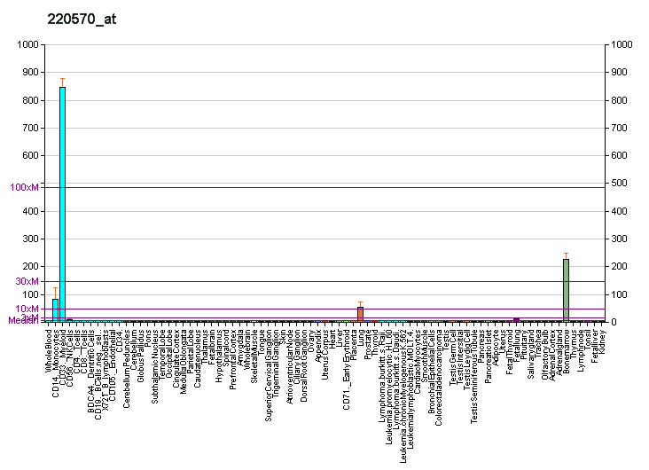 Résistine — Wikipédia