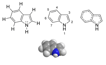 Indole — Wikipédia