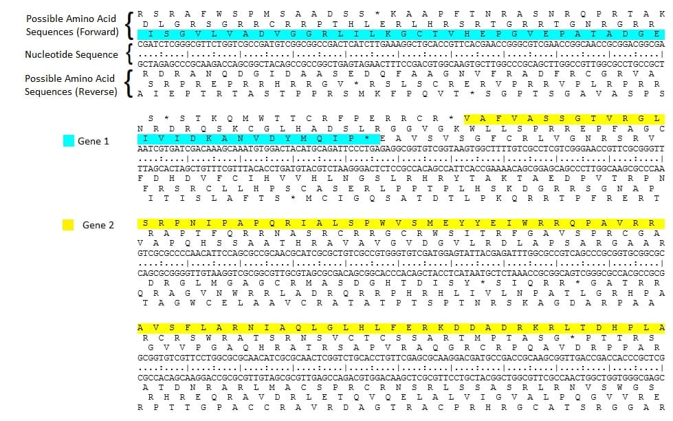 Reading frame - Wikipedia