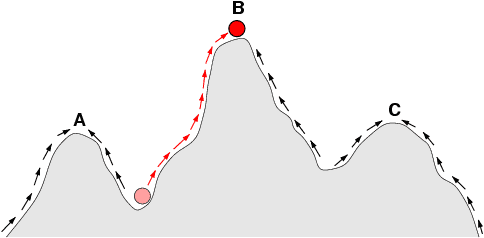 Paysage adaptatif — Wikipédia