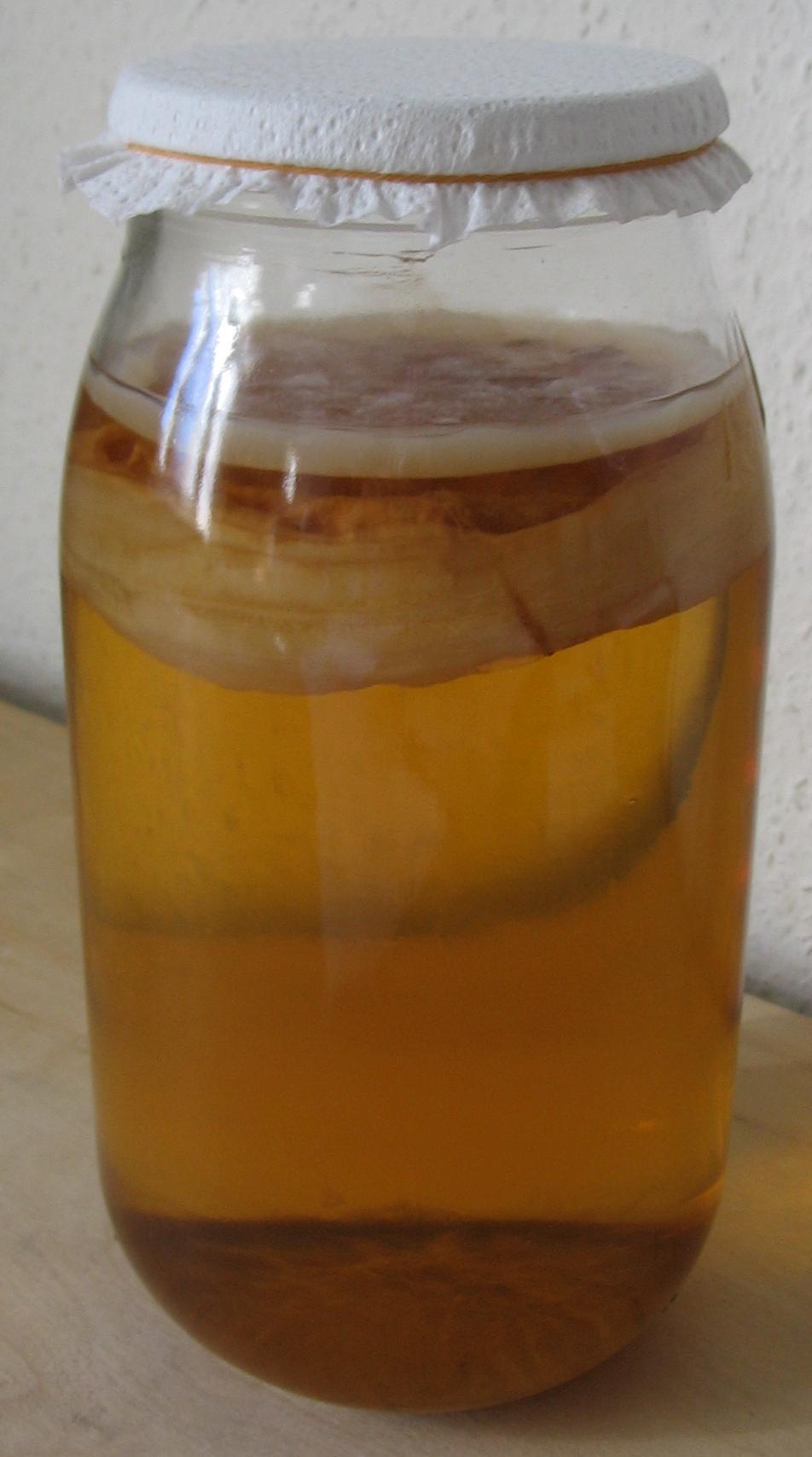 Kombucha — Wikipédia