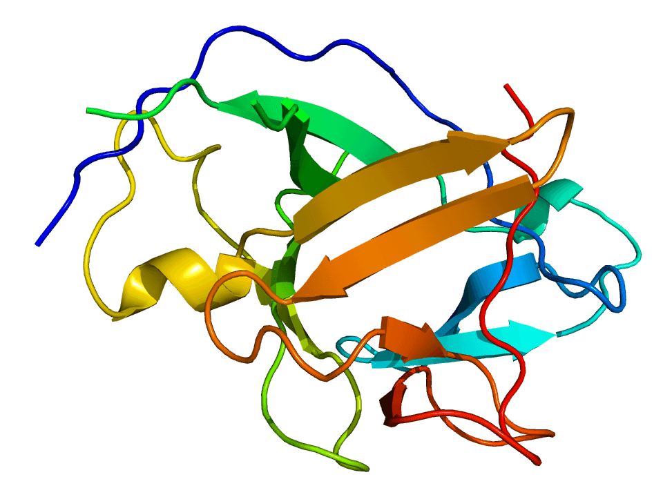 Interleukin-1 family - Wikipedia