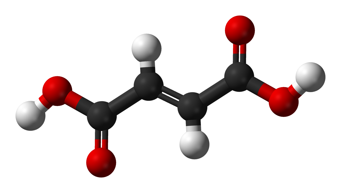 Acide fumarique — Wikipédia