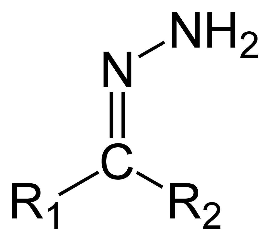 Hydrazone - Wikipedia