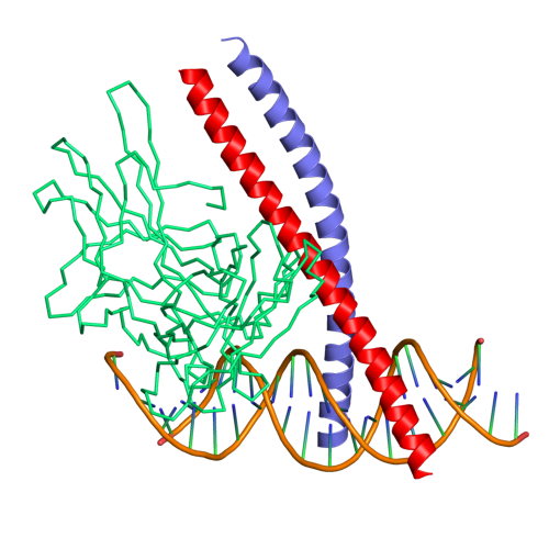 Transcription factor Jun - Wikipedia