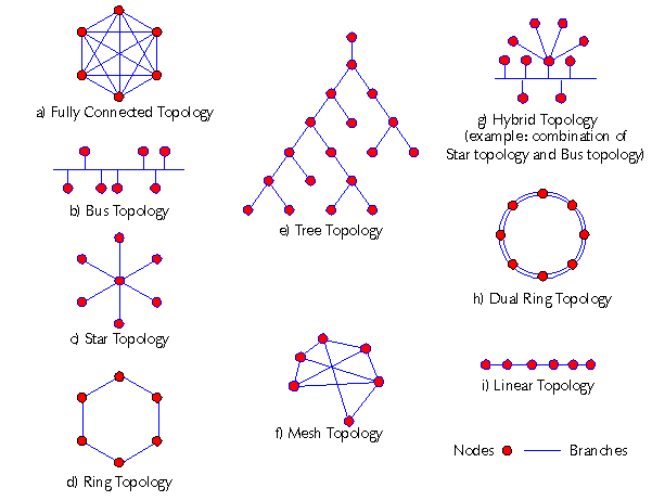 Topologie de réseau — Wikipédia