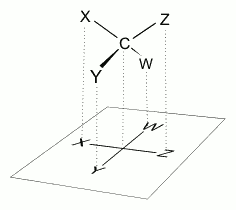 Projection de Fischer — Wikipédia