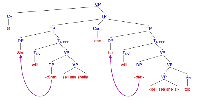 Verb phrase ellipsis - Wikipedia