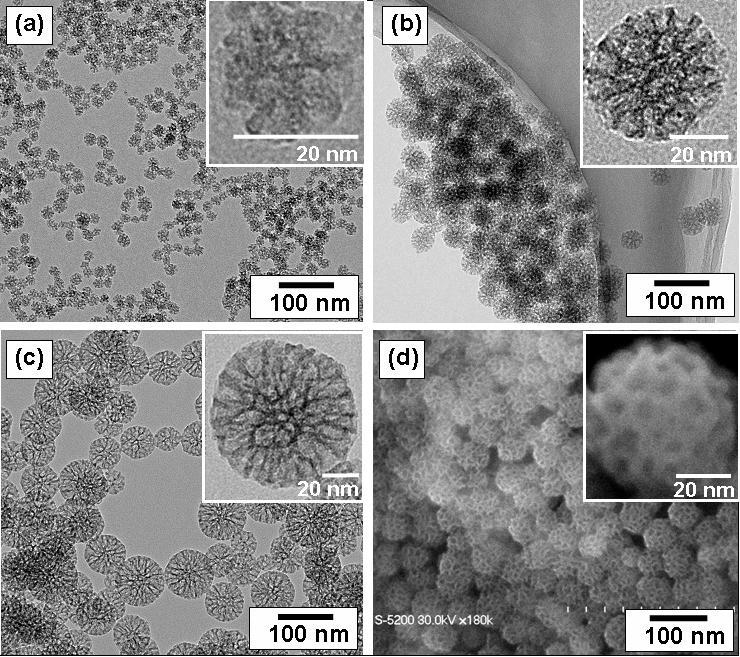 Nanoparticle - Wikipedia