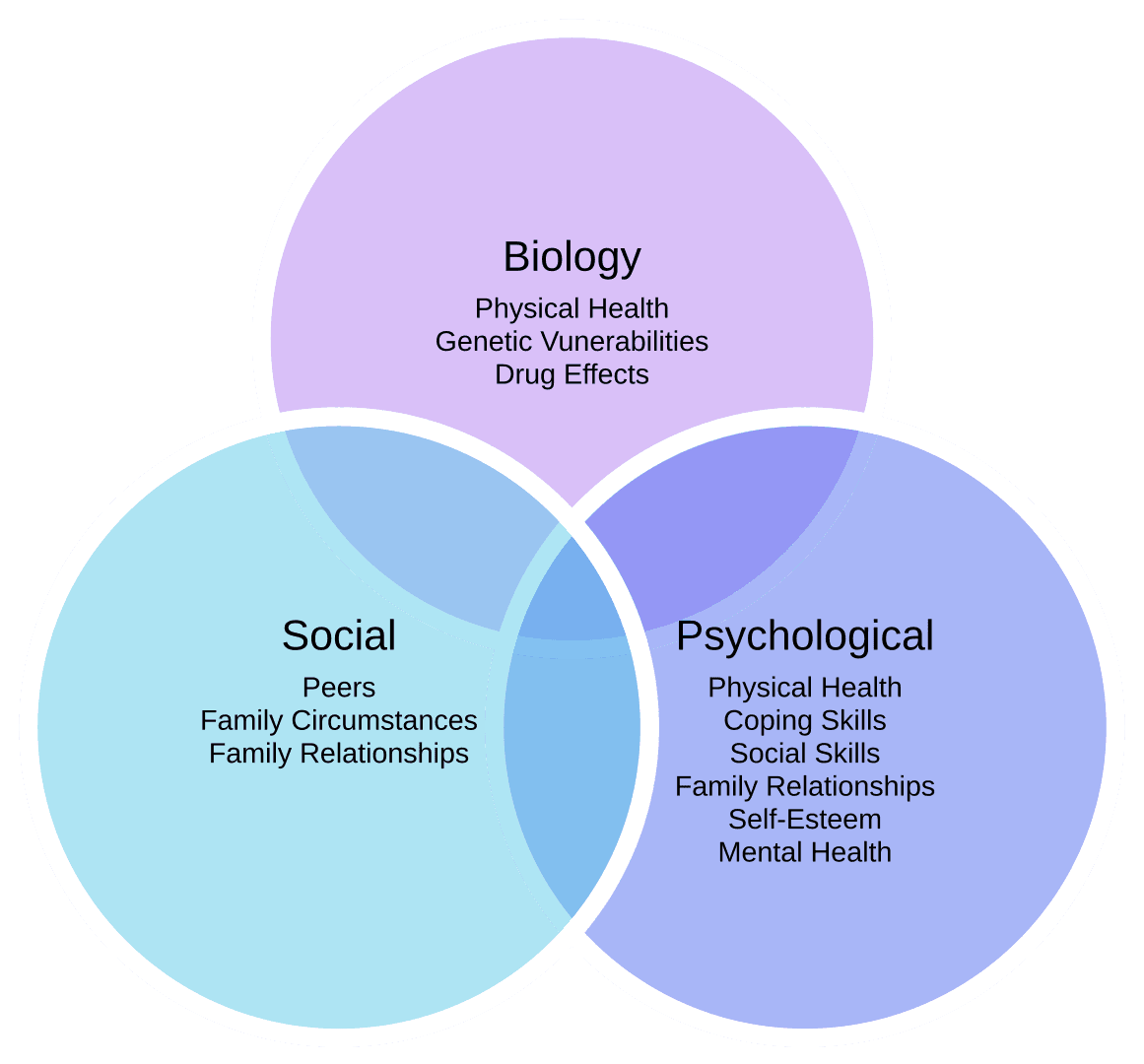 Modèle biopsychosocial — Wikipédia