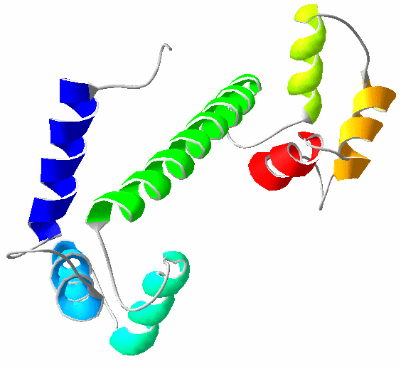 Calmodulin - Wikipedia