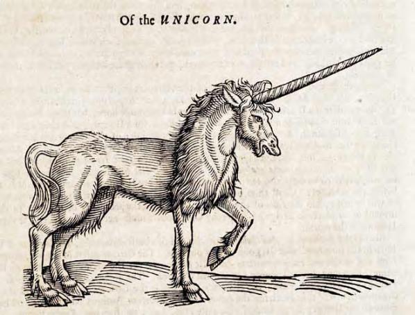 Unicorn - Wikipedia