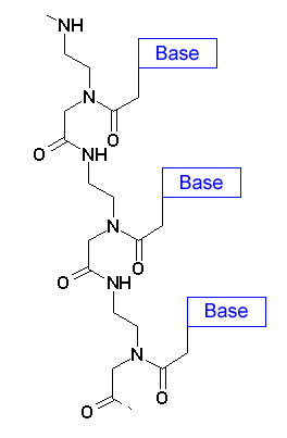 Acide nucléique peptidique — Wikipédia