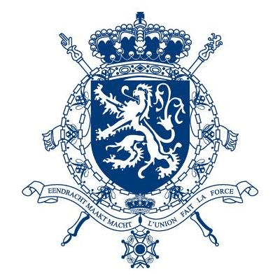 Cour constitutionnelle (Belgique) — Wikipédia