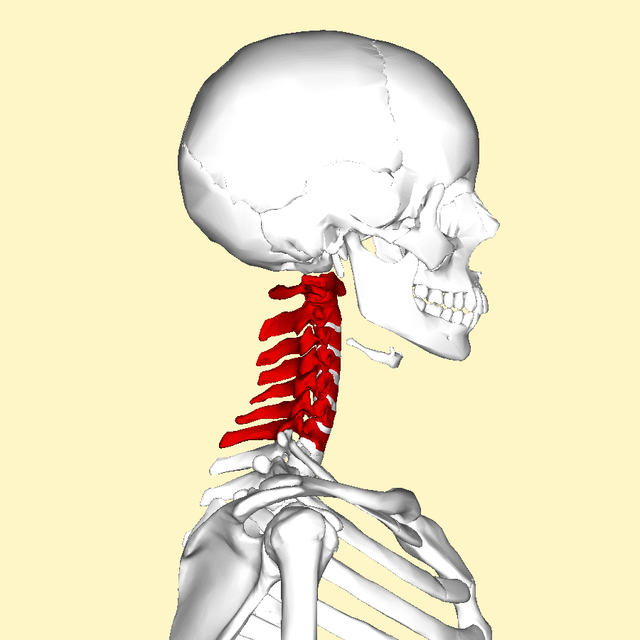 Radiculopathy - Wikipedia