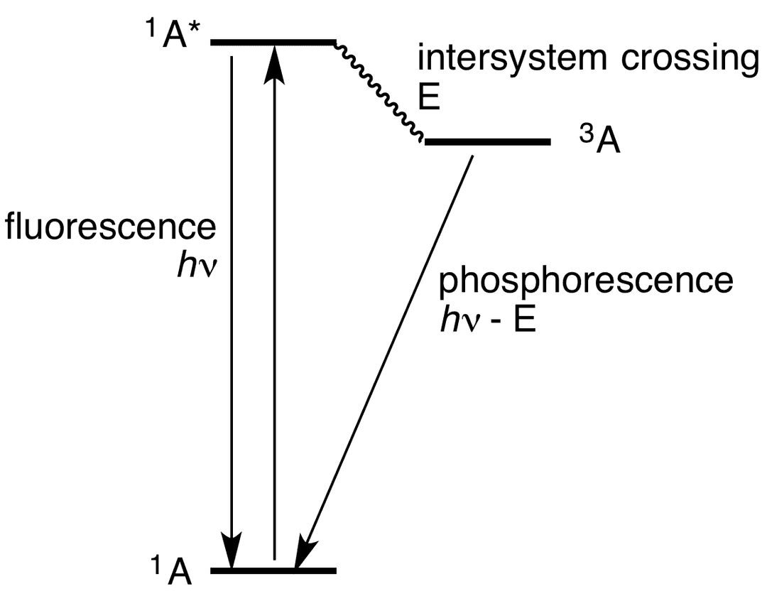 Jablonski diagram - Wikipedia