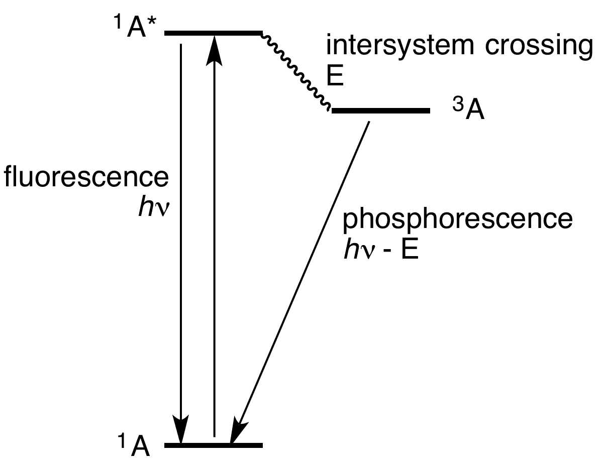 Jablonski diagram - Wikipedia