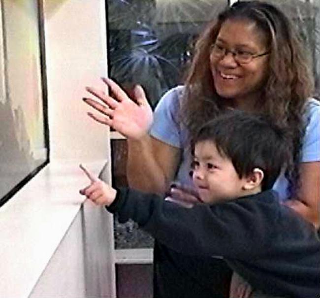 Autism therapies - Wikipedia