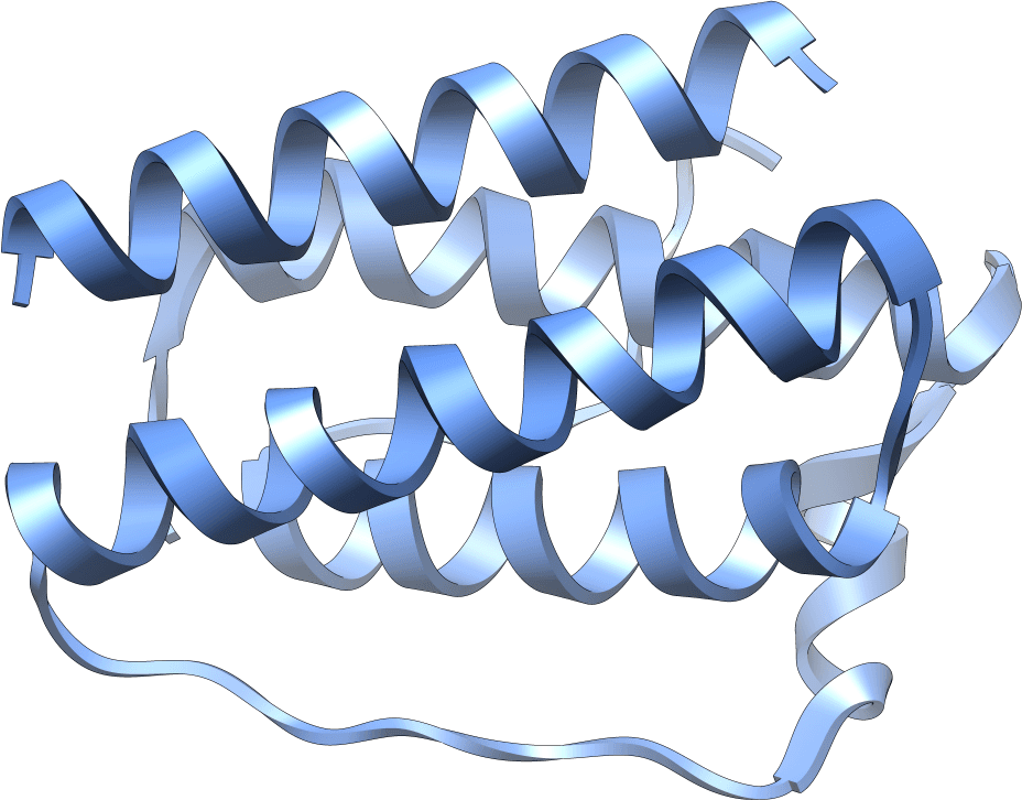 Leptin - Wikipedia