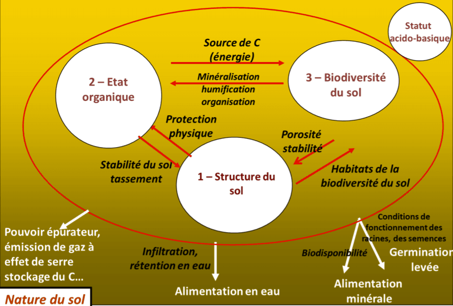 Fertilité des sols — Wikipédia