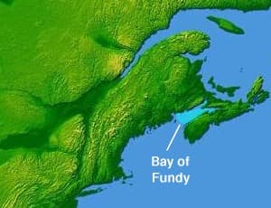 Bay of Fundy - Wikipedia